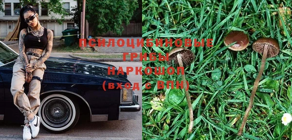 прущая мука Алексин