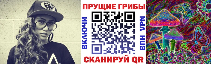 Псилоцибиновые грибы Psilocybine cubensis  Дегтярск 
